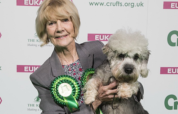 Crufts win for Terrier Harrison