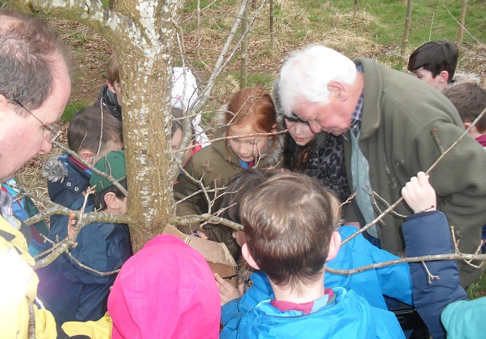 Cubs at Coed Wen