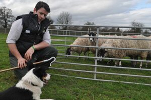 Hundreds expect to flock to Reaseheath College lambing weekend in Nantwich