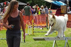 RSPCA Stapeley Grange summer fair proves a hit