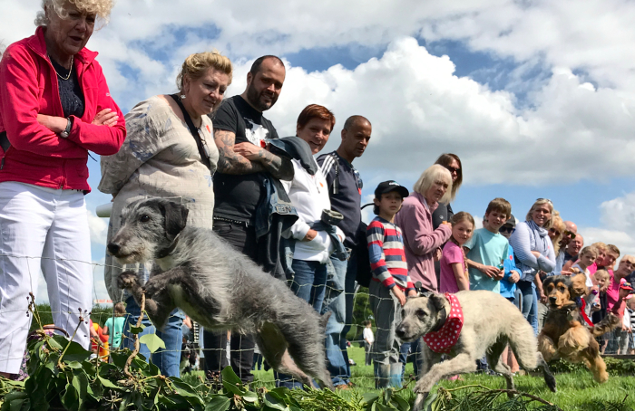 Dog and terrier racing (1) (1)