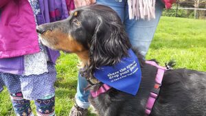 Nantwich canal to stage Doggy-Do-Dahs mass walking event