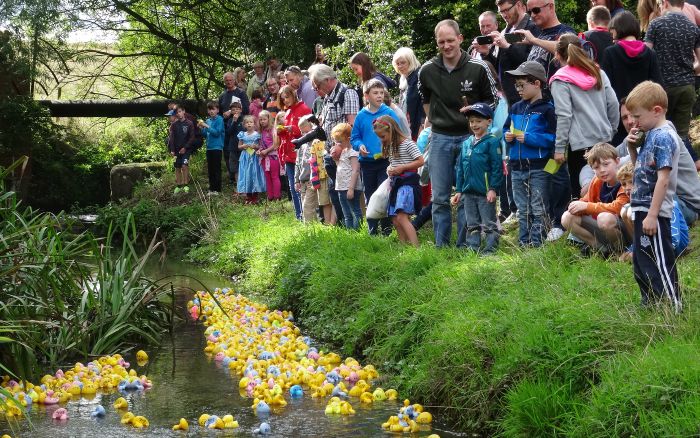 Duck Race