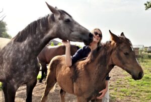 Nantwich horse breeder scoops coveted gold award