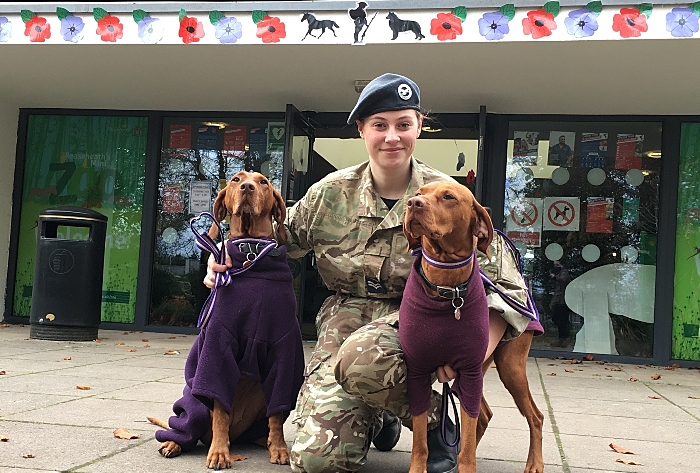 Elin Jones with Hungarian Vizslas Elsa and Nel (1)