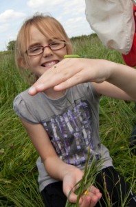 Face to face with a caterpillar