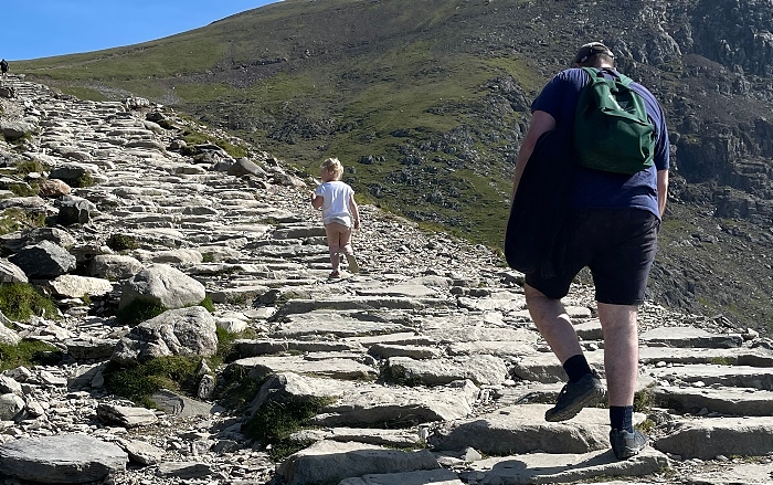 Flossie climbs Snowdon unaided