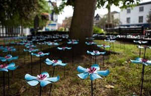 Forget Me Not flowers display in Nantwich in memory of loved ones