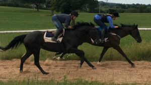 Three South Cheshire riders saddle up for world’s oldest surviving horse race