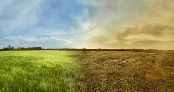 consultation - Getty stock environmental image