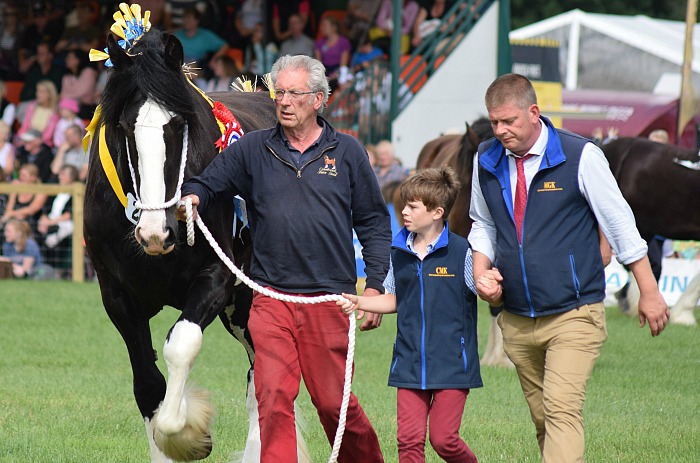 Grand Parade of Shire Horses in the Main Ring