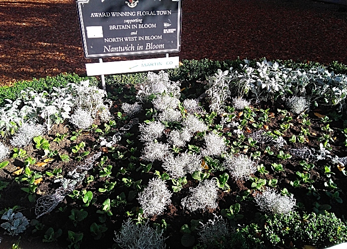 Guardian angel flower bed in Nantwich