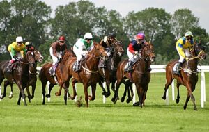 Outbreak of equine flu started at South Cheshire yard