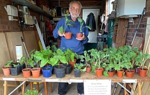 Wistaston Conservation Group plant sale raises funds