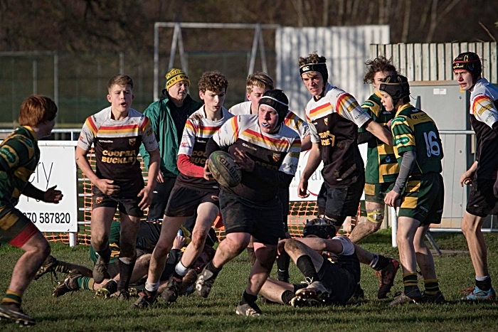 Junior Colts for Crewe and Nantwich