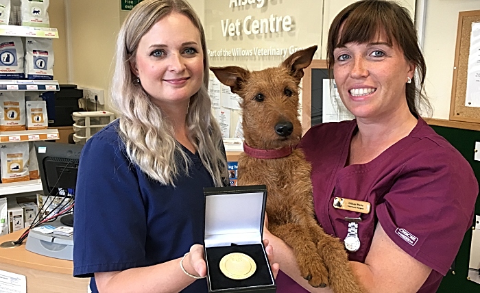 Katie Ford, Gillian White, Mavis the Irish terrier (1)