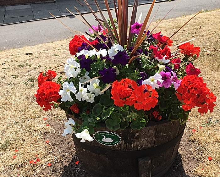 Kings Drive flower pot - photo by David Clews