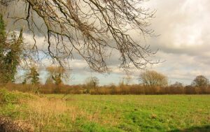 Supreme Court judges allow 170 homes plan for green gap land in Willaston