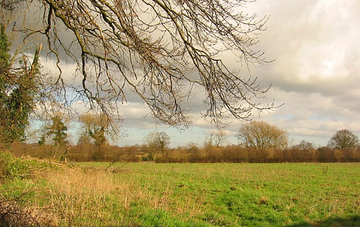 Supreme Court - Land off Moorfields in Willaston, pic by Espresso Addict under creative commons