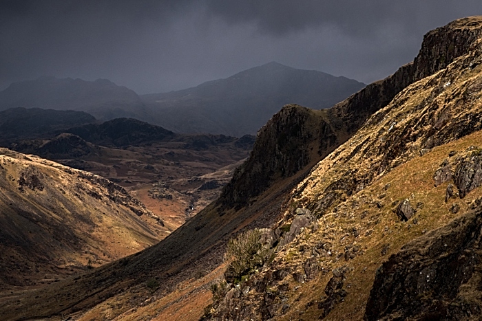 Light And Shade In The Upper Esk lr by Mark Gilligan FBIPP (1)