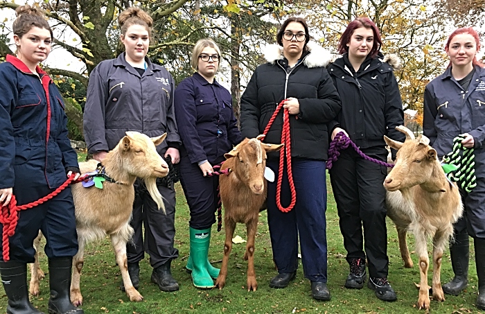 Lowri Crowder, Kaitlin Bithell, Mia De Gaunza, Jess McCully, Shayla Rigg, Rachel Jones, Harry Will & Charlie (1)