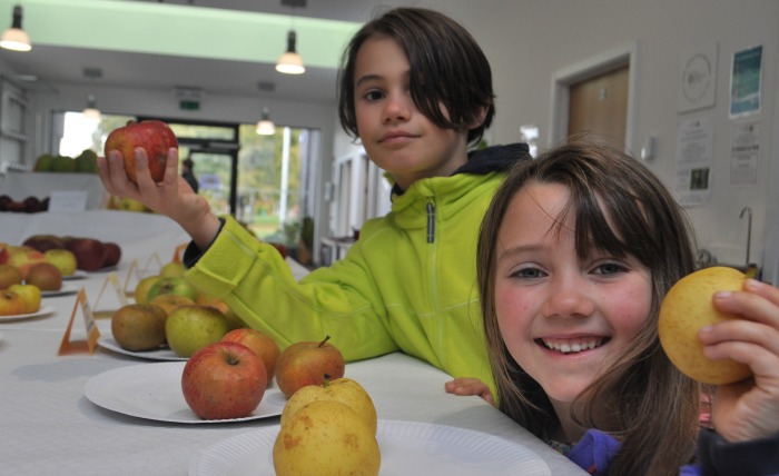 apple - max-and-maya-adams-from-shrewsbury-with-show-apples