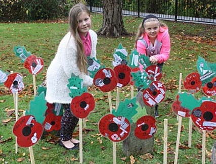 Brine Leas Academy poppy field