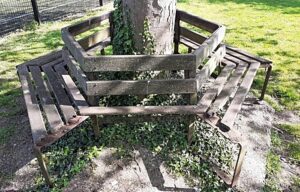 Commemorative bench in Nantwich removed as “beyond repair”