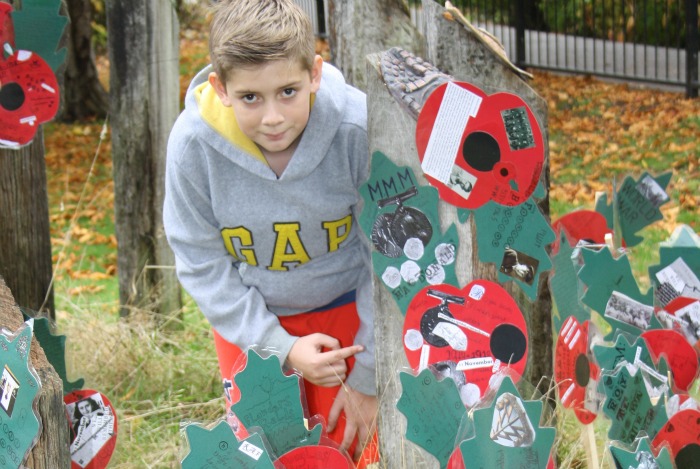 Myles Hamilton-Fey finds his poppy which commemorates his great great grandfather, Murdoch McDonald, who fought in the 1914 - 1918 war