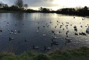 Hunt for man who exposed himself to kids at Nantwich Lake