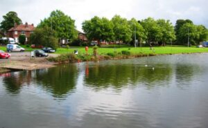 Partnership appeals for wildlife help on Nantwich Lake plan