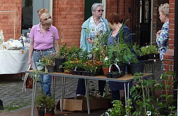 Nantwich Museum Plant & Book Sale 2017 (1)