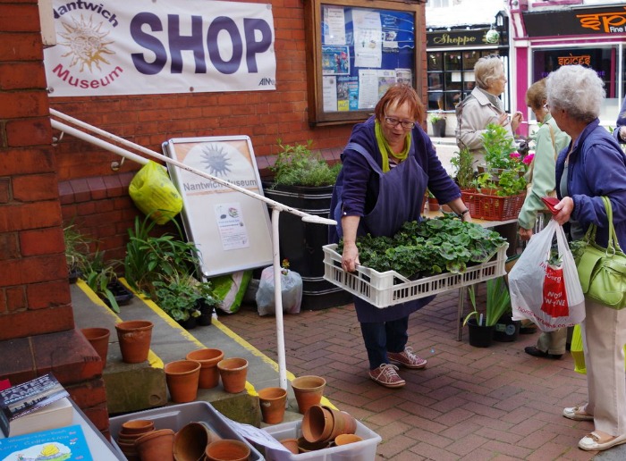 Nantwich Museum Plant and Book Sale. Photograph John Brough