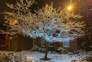 Nantwich to unveil “Tree of Light” for Christmas remembrance