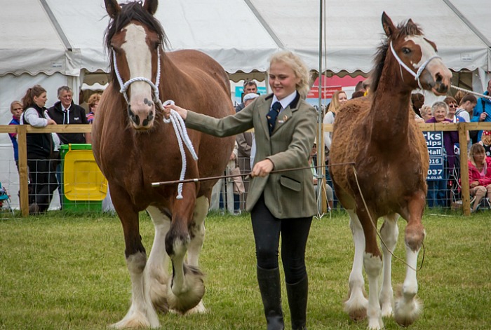 Nantwich Show 2016 - 3, pic by Nantwich Events Photography