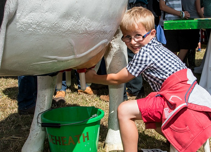 Nantwich Show 2016 - 4, pic by Nantwich Events Photography