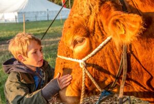 Nantwich Show shines once more as thousands enjoy sunshine event