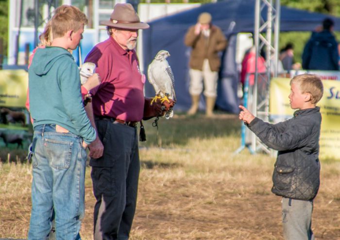 Nantwich Show 9