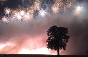 Thousands flock to Dorfold Park’s Nantwich Spooktacular