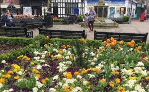 Appeal for Nantwich volunteers ahead of Britain in Bloom judging