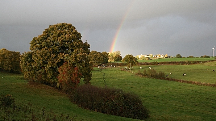 Nature Improvement Area to be destroyed - Cheshire. credit Matt Lawton (1)