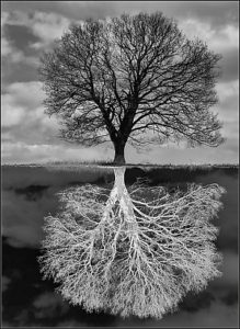 negative-roots-camera-club