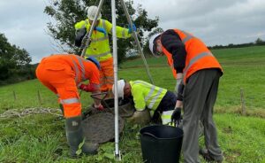 Endangered newts in Nantwich rescued by water engineers