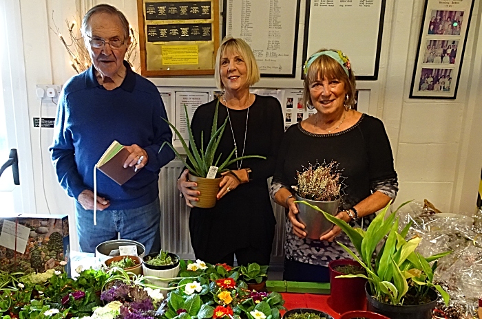 Plant stall