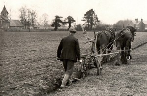 First World War food talk to be held at Nantwich Museum