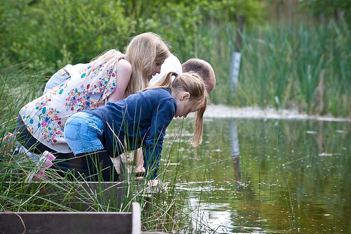 Cheshire Wildlife Trust breakfast challenge - Pond dipping (c) Matthew Roberts