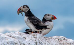 Nantwich Museum reopens with talk and Camera Club exhibition