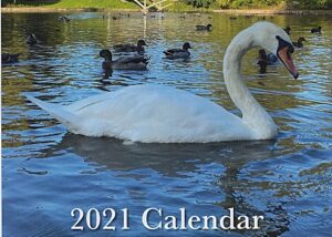 Fundraising calendar raises thousands of pounds for Queens Park