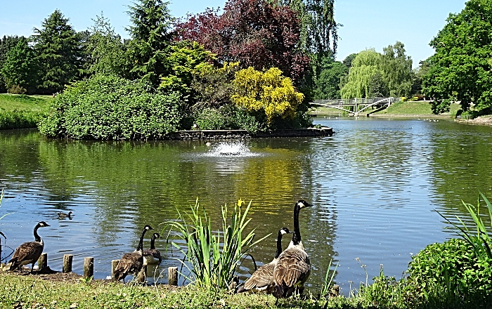 Queens Park, Crewe in the sun - Wed 20-5-2020 (4) (1)