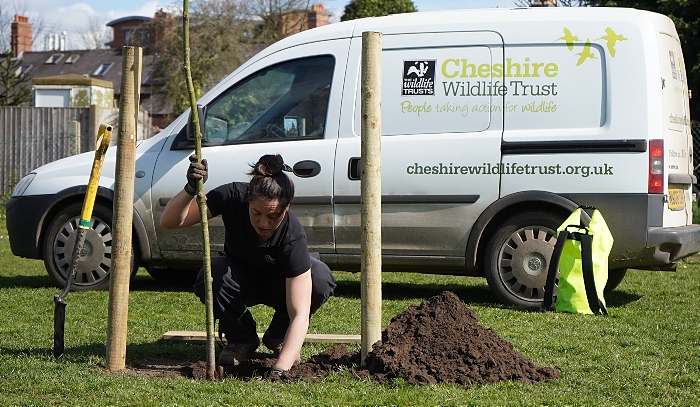 Rachel Bradshaw - Cheshire Wildlife Trust